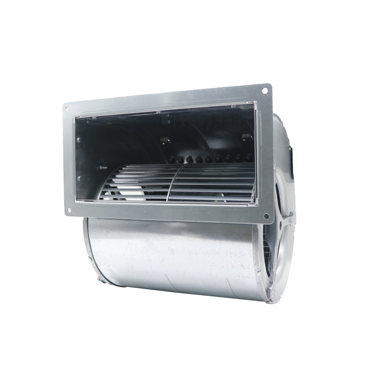 ebm-papst D2D160-CE02-12 Industrial Fan